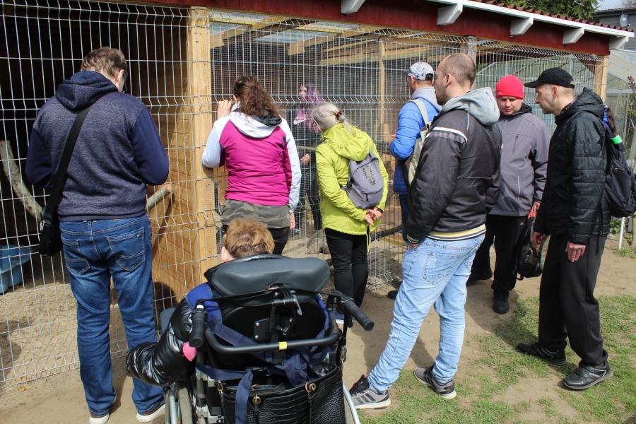 11 – Grupa Uczestników ogląda zwierzęta umieszczone w klatce.