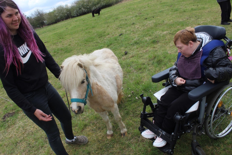 4 – Pracownik farmy prezentujący Uczestniczce kucyka.