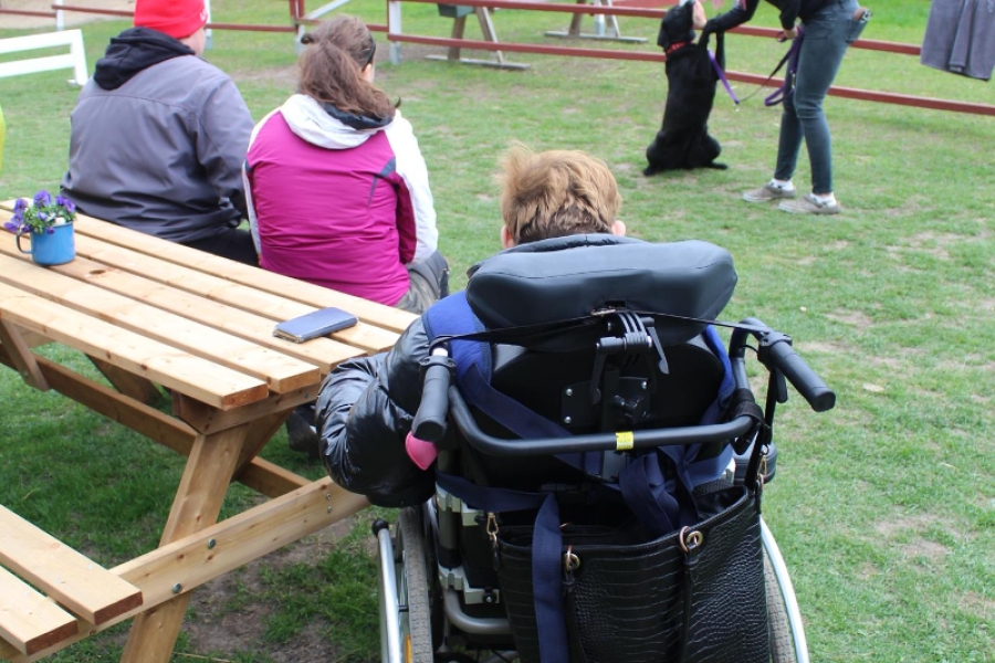 7 -  Uczestnicy oglądający pokaz psich sztuczek.