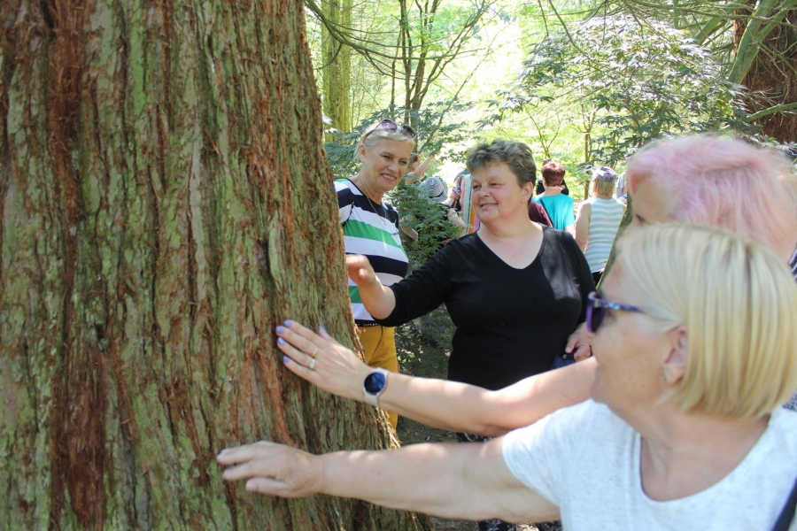 7.Rodzice uczestników głaszczący drzewo