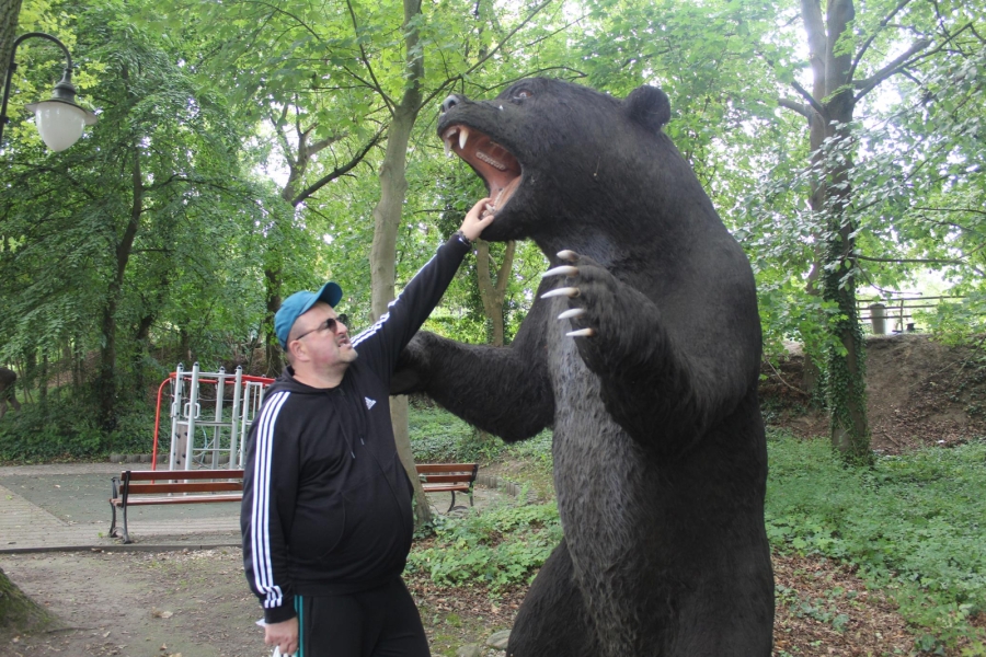 5.Uczestnik wkładający rękę do paszczy sztucznego niedźwiedzia