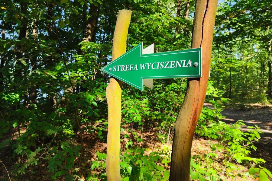 5.Sielona strzałka z napisem „Strefa Wyciszenia”