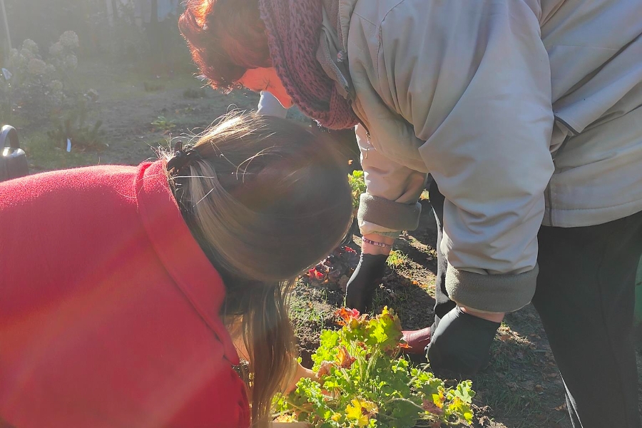 4.Schylająca się uczestniczka sadząca kwiaty w ogrodzie
