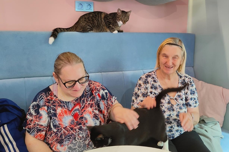 2.Uczestniczki głaszczące czarnego kota przy kawiarnianym stoliku