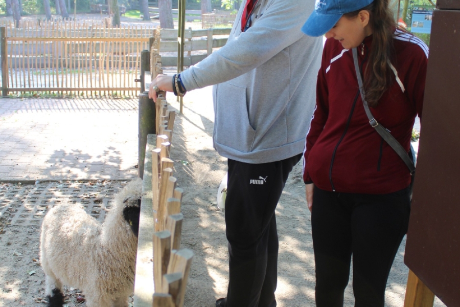 2.Uczestnik oraz uczestniczka pokazujący na owieczkę