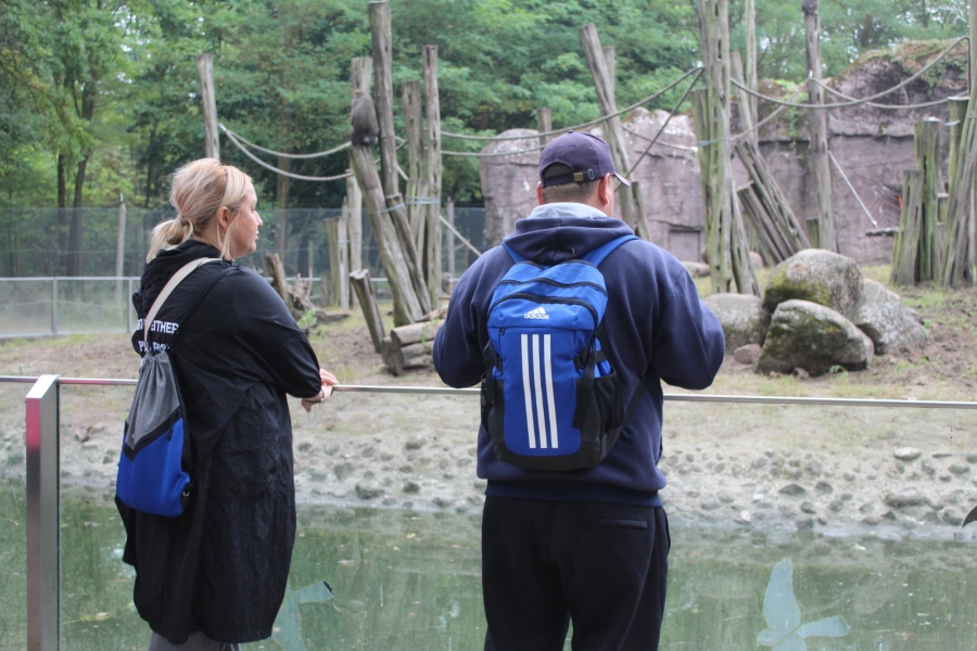 5.Uczestnik oraz terapeutka przyglądający się zwierzętom na linach