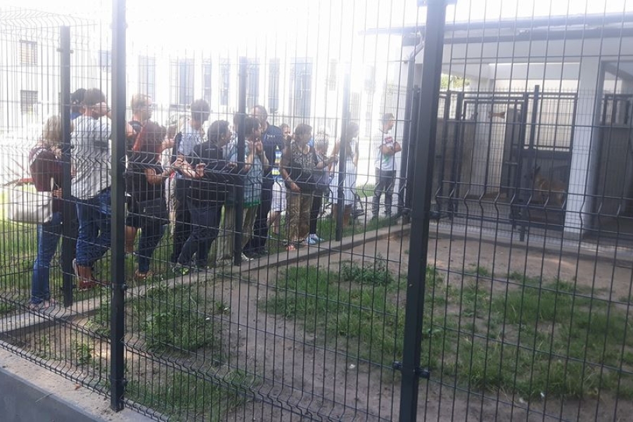 Uczestnicy przyglądający się psom policyjnym w kojcach