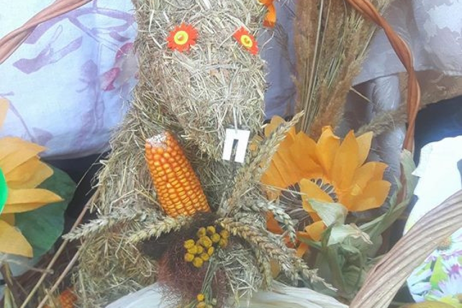 Słomiany zając w wiklinowym koszulkach