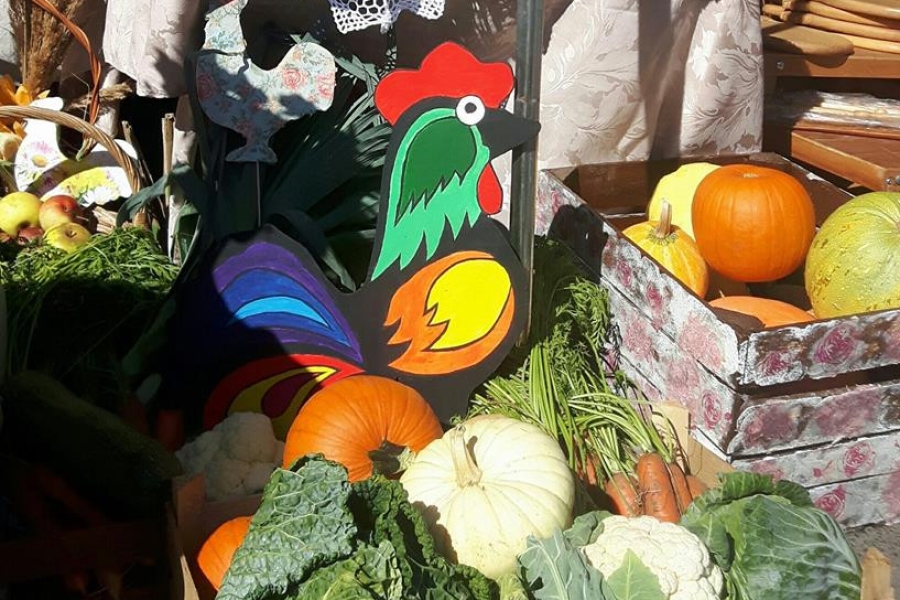 Warzywa w skrzyniach na tle kolorowego drewnianego koguta