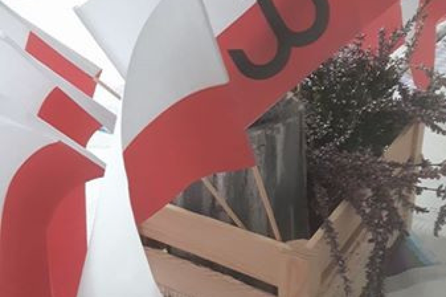 Chorągiewki polskiej flaki z logiem Polski Walczącej