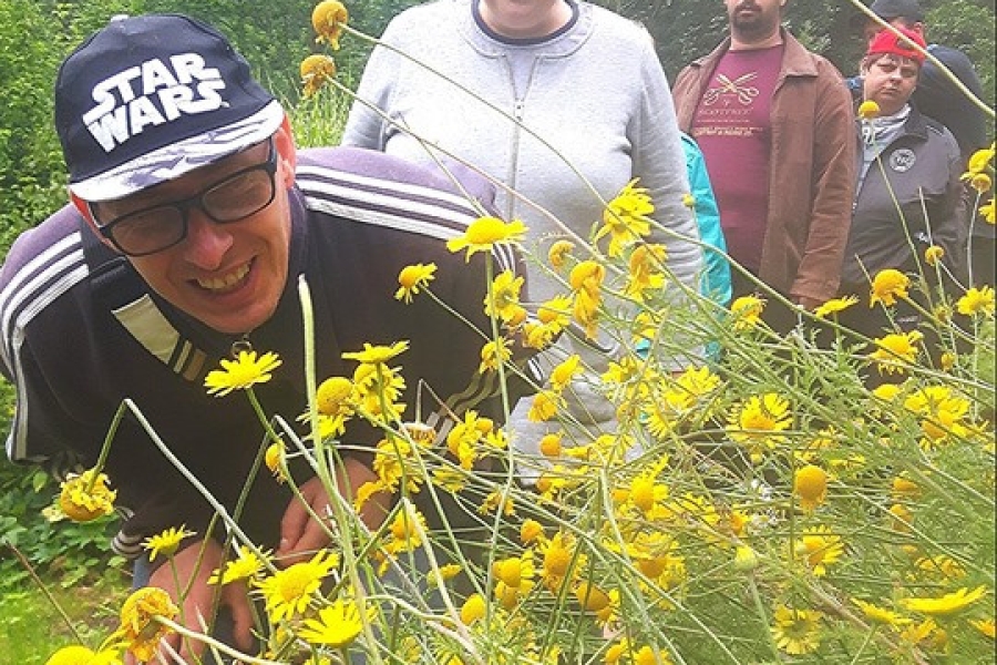 Uczestnicy przyglądają się polnym kwiatom koloru żółtego.