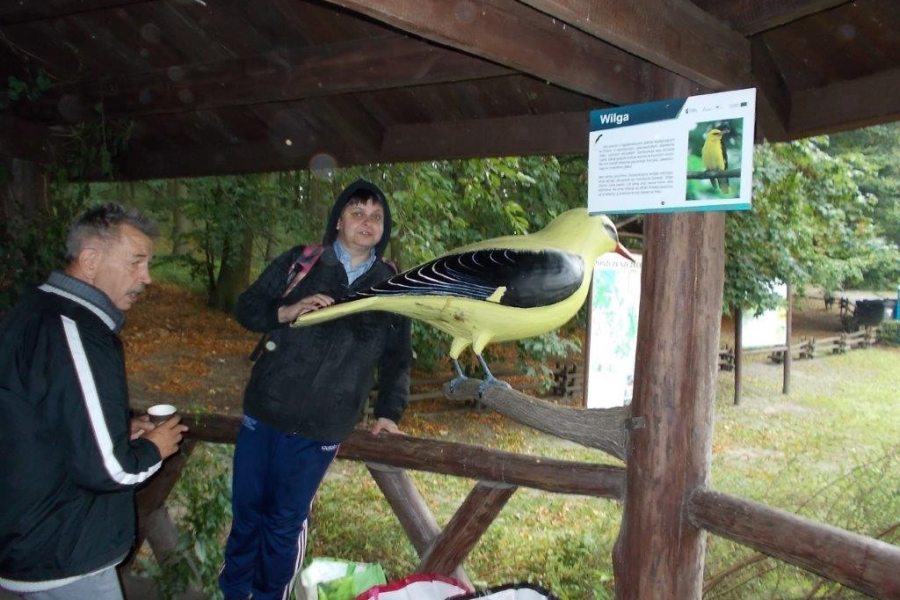 Uczestnicy przy makiecie Wilga